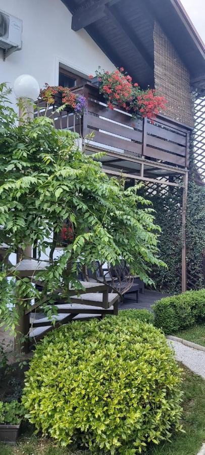 Alexander House Hotel Deva Luaran gambar