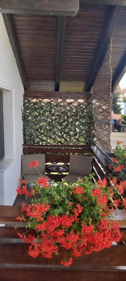 Alexander House Hotel Deva Luaran gambar